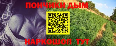 ПСИЛОЦИБИНОВЫЕ ГРИБЫ Тулун