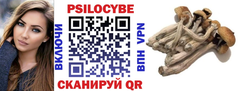 закладки  Славянск-на-Кубани  Галлюциногенные грибы GOLDEN TEACHER 